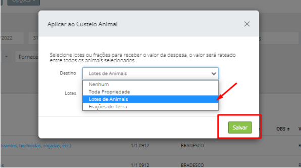imagem5.png